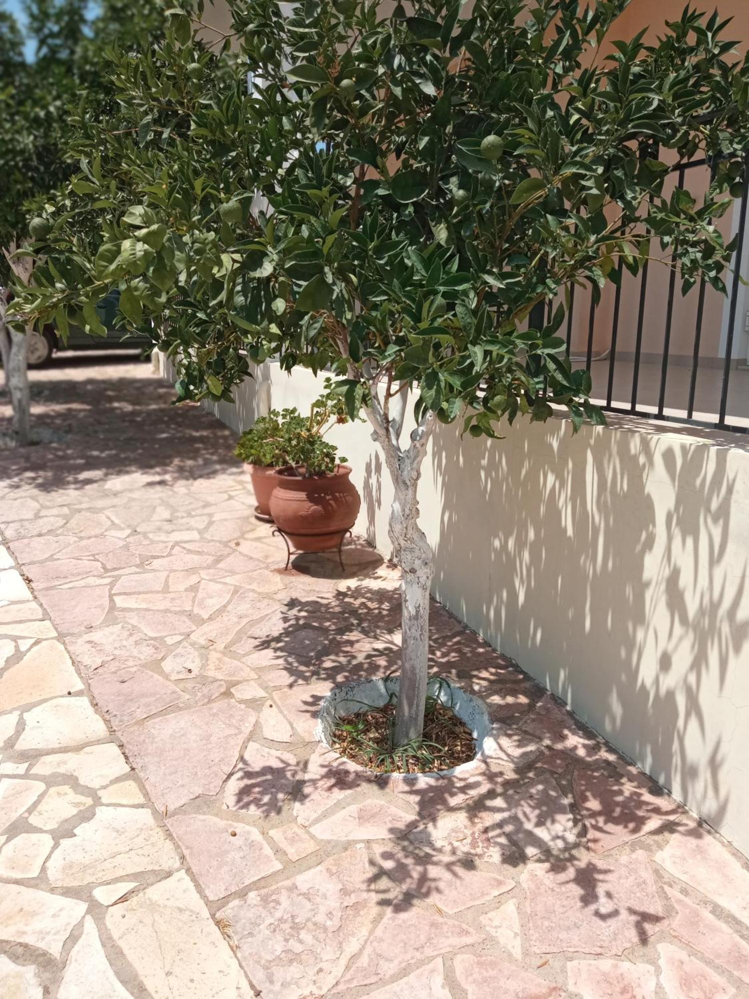 Garden Appartement Koróni
